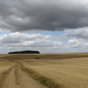 Wege