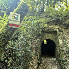 Vis Francigena 2026 öffentliche Fotos