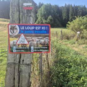 Vis Francigena 2026 öffentliche Fotos