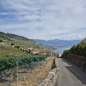 Vis Francigena 2026 öffentliche Fotos