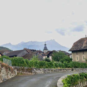 Vis Francigena 2026 öffentliche Fotos