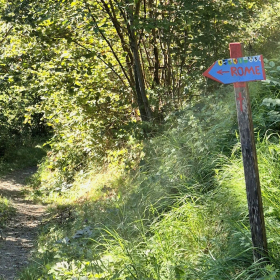 Vis Francigena 2026 öffentliche Fotos