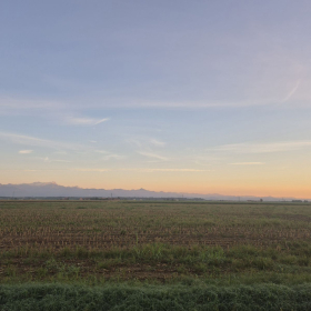 Vis Francigena 2026 öffentliche Fotos