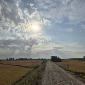 Vis Francigena 2026 öffentliche Fotos