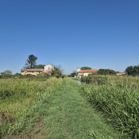 Vis Francigena 2026 öffentliche Fotos