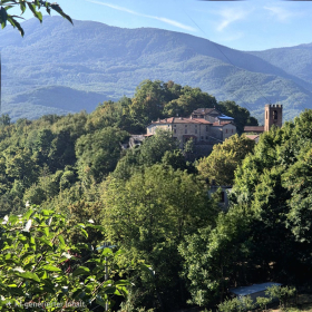 Vis Francigena 2026 öffentliche Fotos