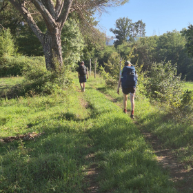 Vis Francigena 2026 öffentliche Fotos