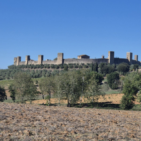 Vis Francigena 2026 öffentliche Fotos