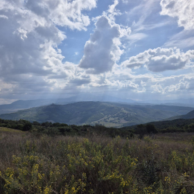 Vis Francigena 2026 öffentliche Fotos