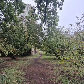 Vis Francigena 2026 öffentliche Fotos