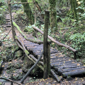 Vis Francigena 2026 öffentliche Fotos